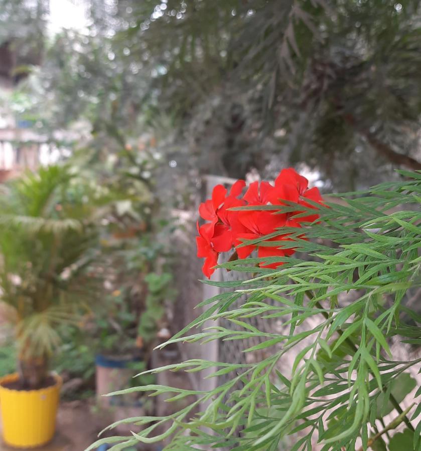Trimurti Holiday Home Panchgani Extérieur photo