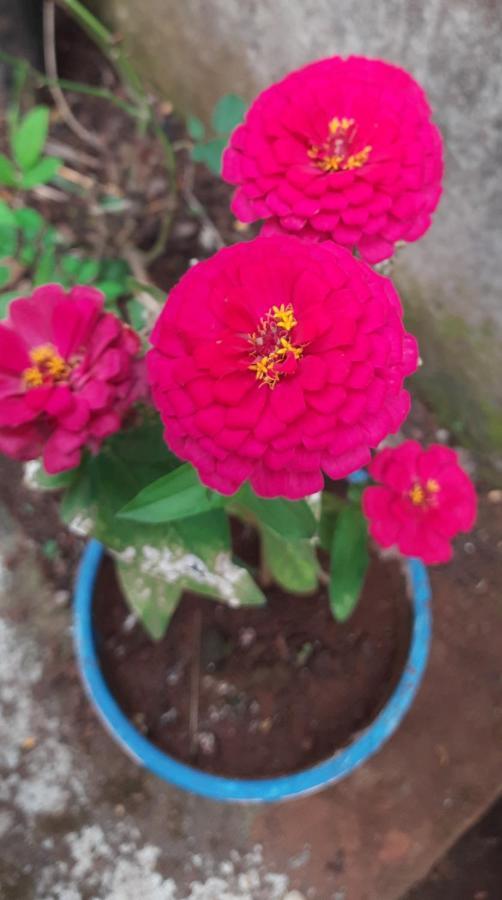 Trimurti Holiday Home Panchgani Extérieur photo