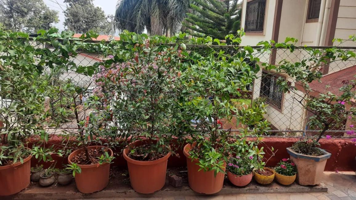 Trimurti Holiday Home Panchgani Extérieur photo