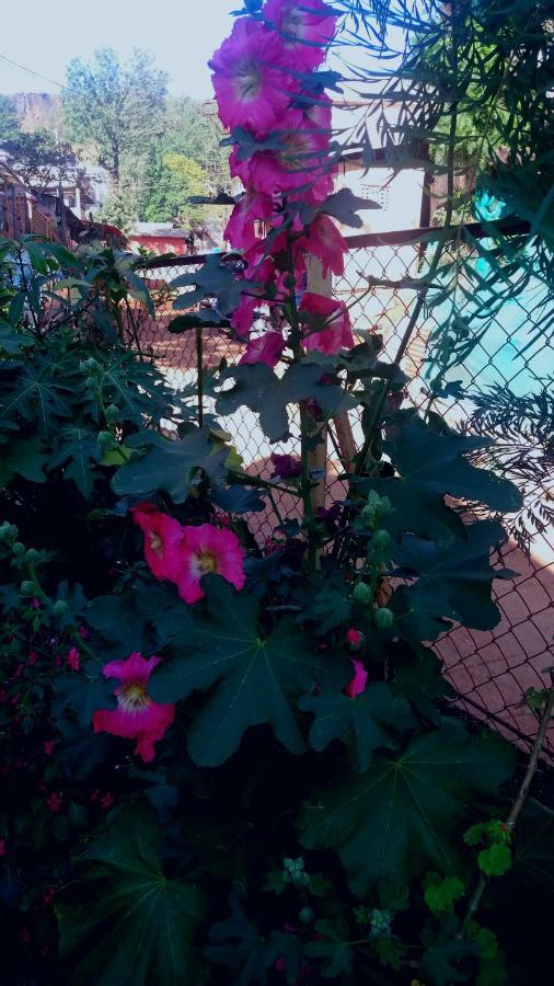Trimurti Holiday Home Panchgani Extérieur photo
